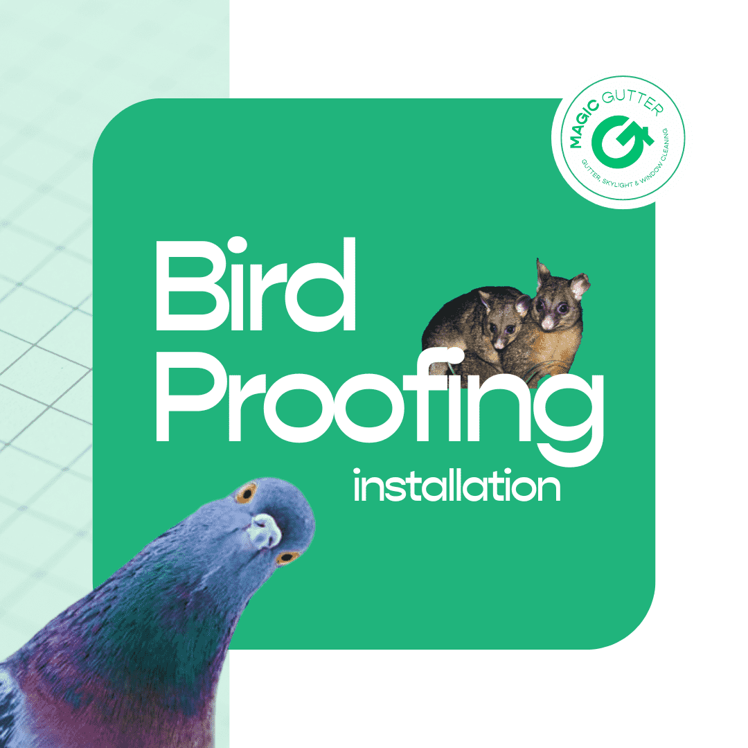 Promotional graphic for bird proofing services in Sydney, showing pigeons and possums beside the Magic Gutter logo, representing professional bird proofing installation to protect roofs, gutters, and solar panels from pests.