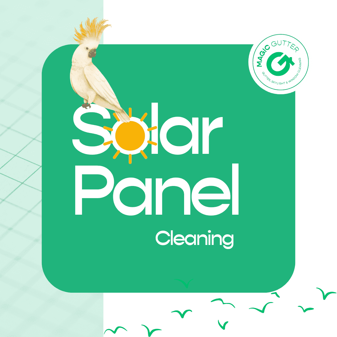 Promotional graphic for solar panel cleaning in the Sydney area, featuring a cockatoo, sunshine icon, and Magic Gutter branding, representing professional cleaning services that help improve solar panel performance and efficiency.