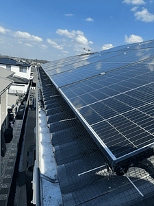 Sydney Bird proofing Installation