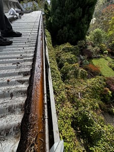 roof rust