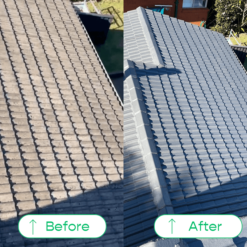 Roof Paint