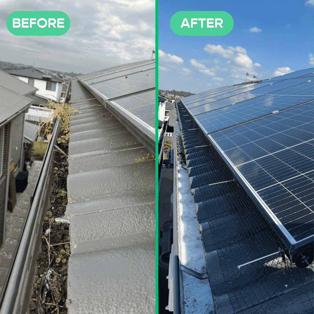 Solar panel cleaning