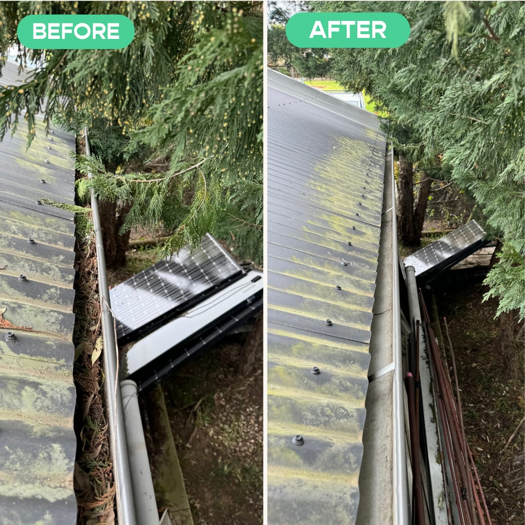 Gutter cleaning in Sydney