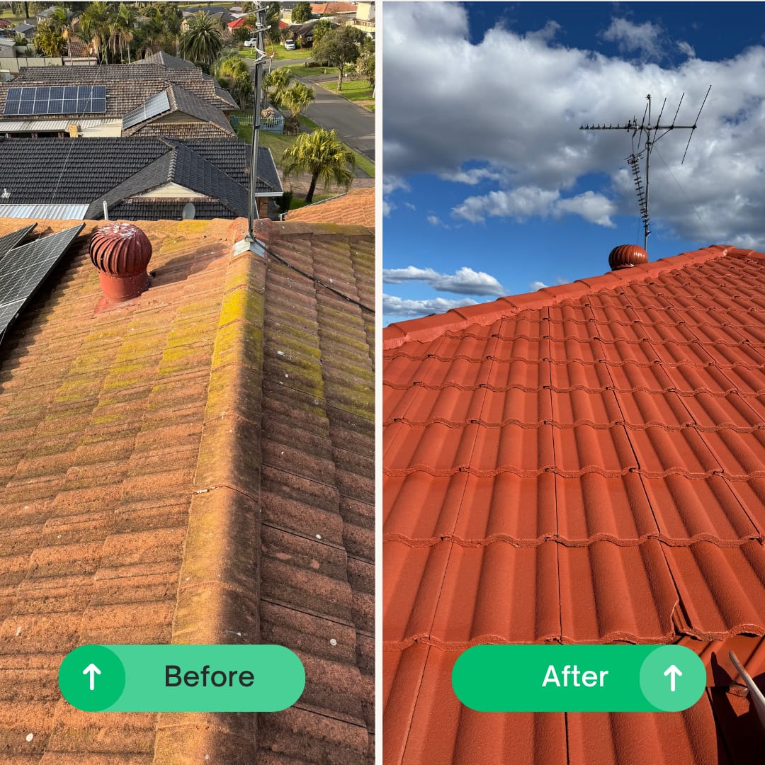 Roof paint near me