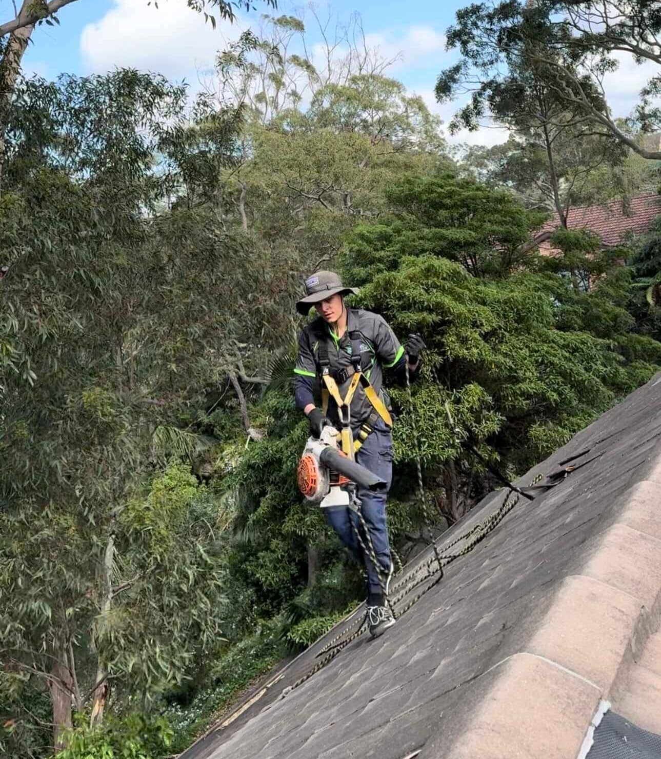 Experienced roof maintenance specialist carrying a leaf blower across a steep tiled roof during a gutter cleaning Sydney service, using certified height safety equipment to clear debris before cleaning the gutters.
