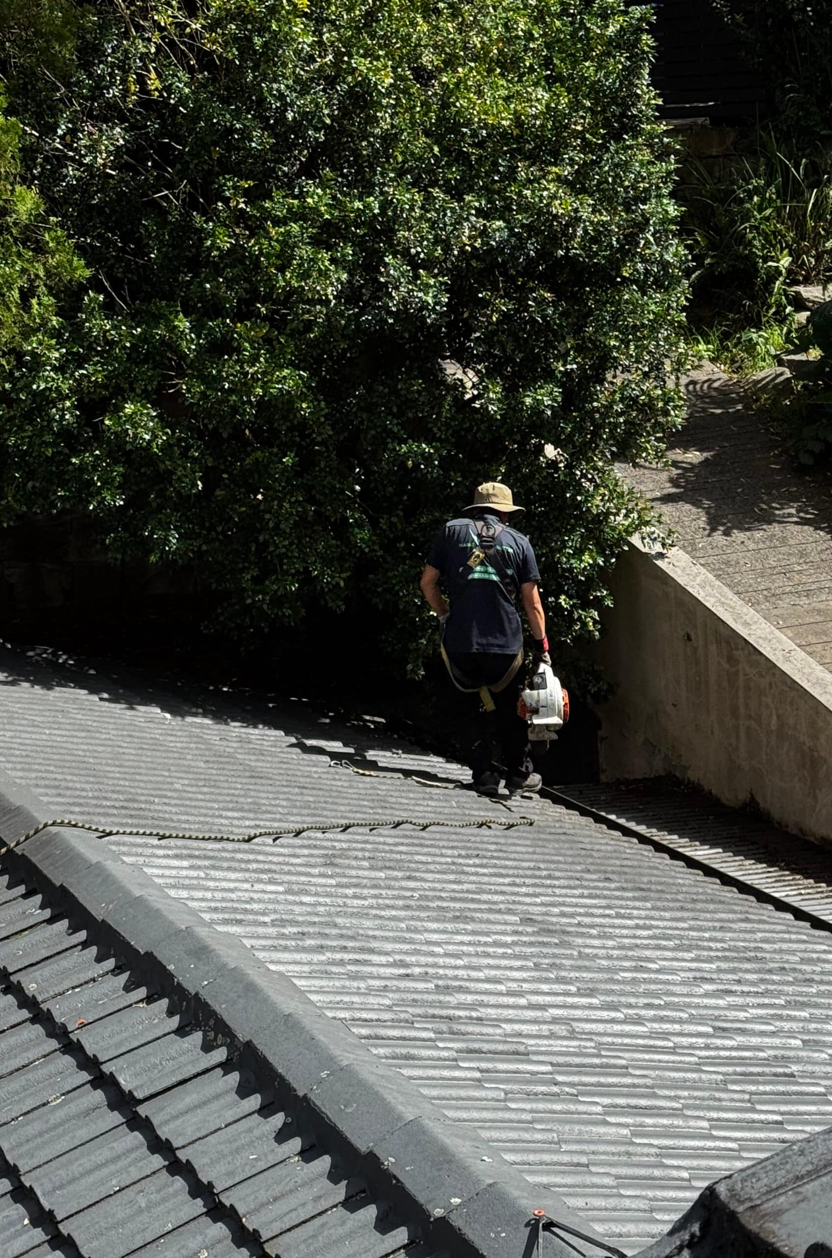 Magic Gutter team and access ladders at a two-storey property.