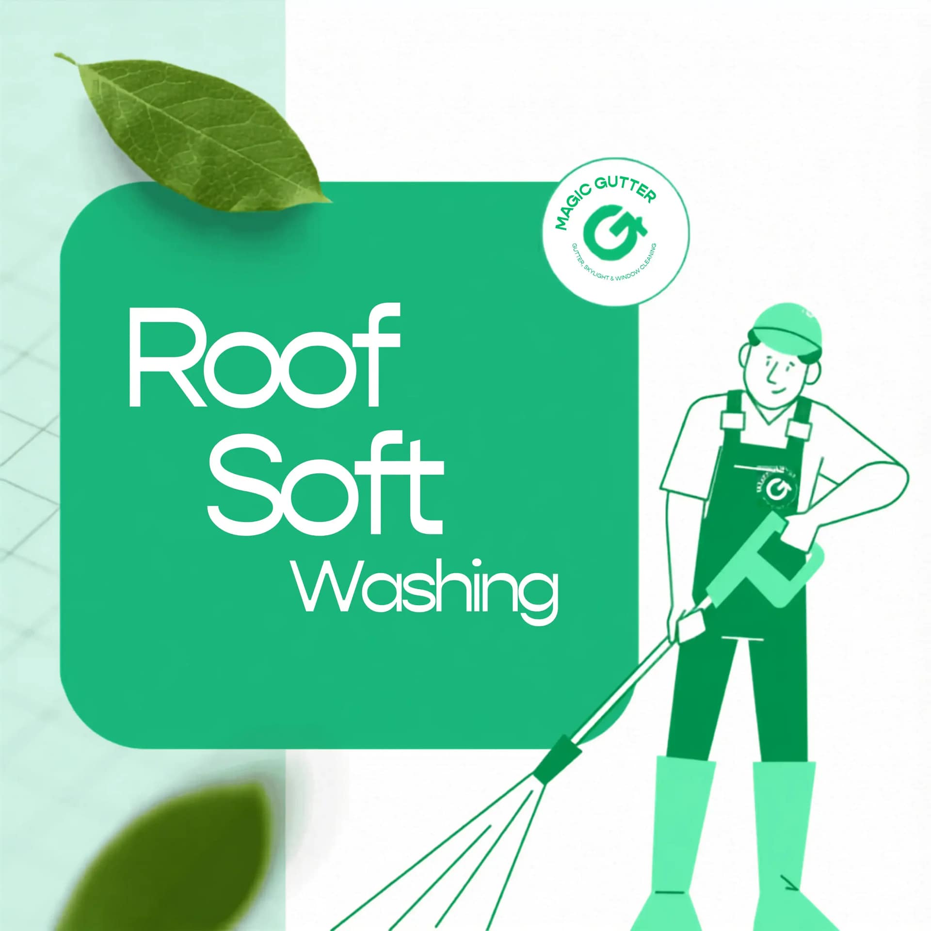 Roof Soft Wash