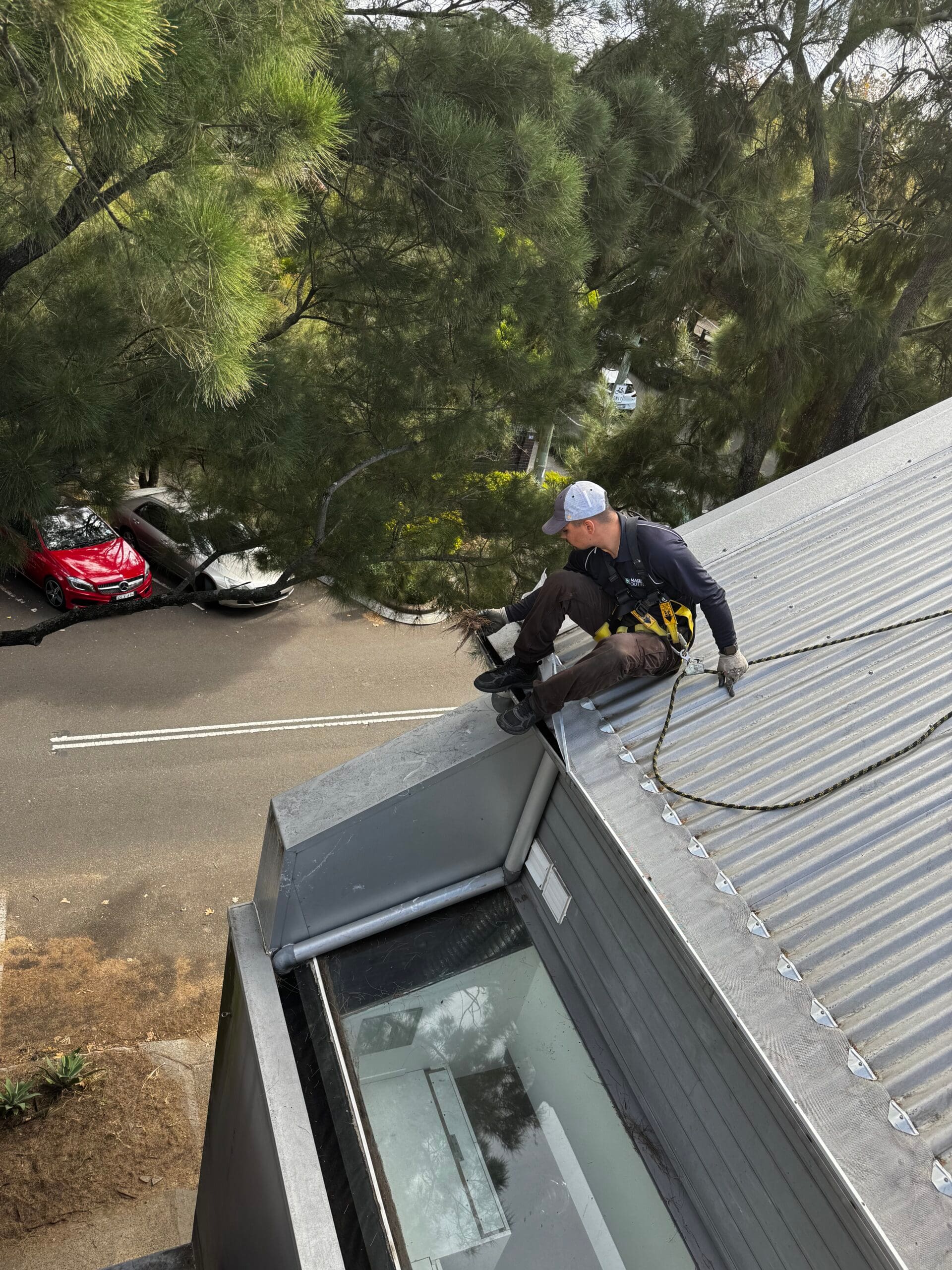 Professional technician carrying out gutter cleaning Sydney services, removing leaves and debris from a steep Colorbond roof while using certified height safety equipment.