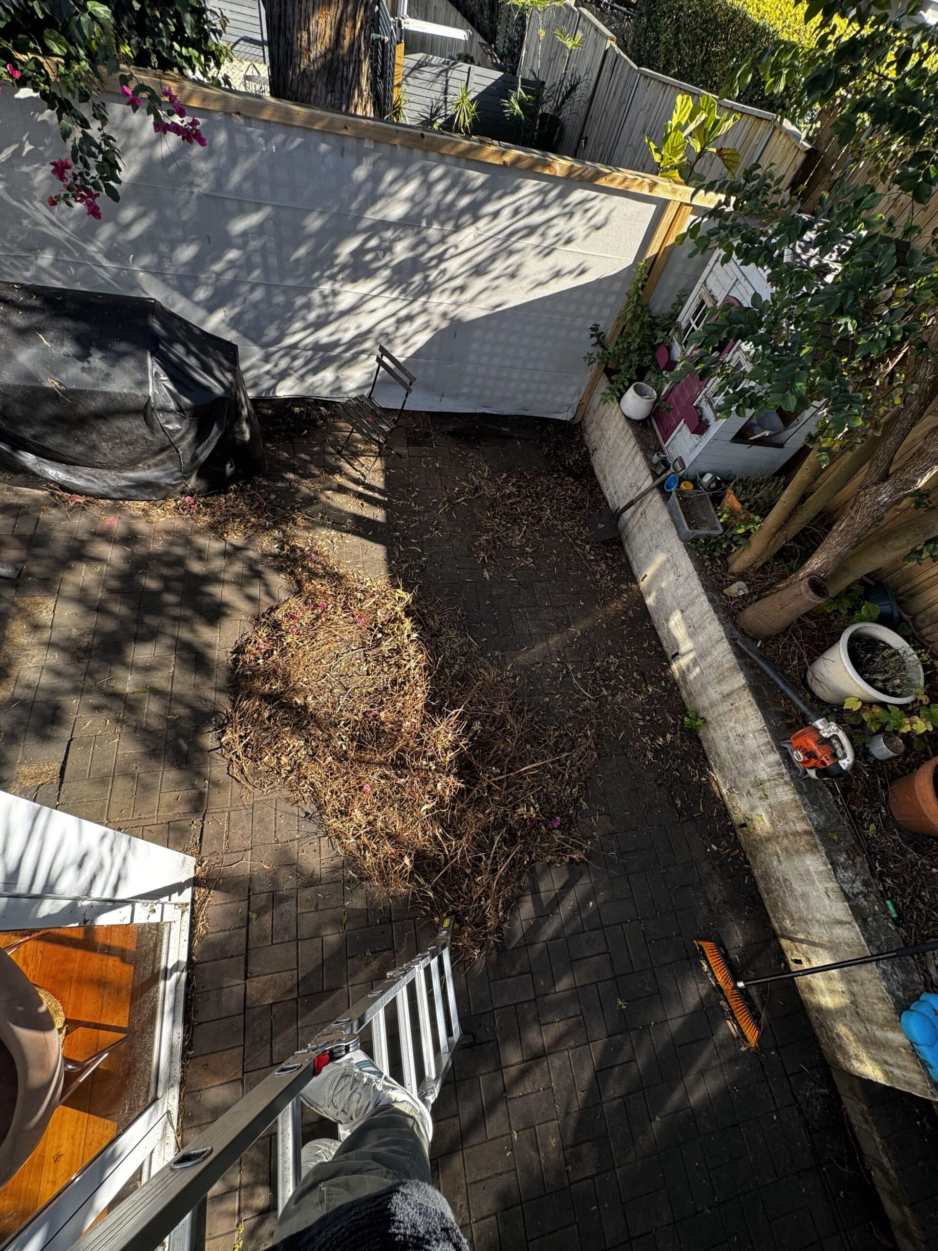 Debris that came out after a Gutter Cleaning Sydney work by Magic Gutter