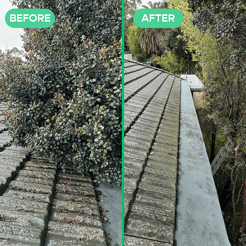 Tree Trimming – Magic Gutter Tree Trimming