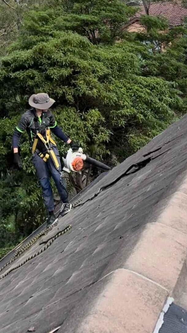 Magic Gutter technician safely working on a Sydney roof