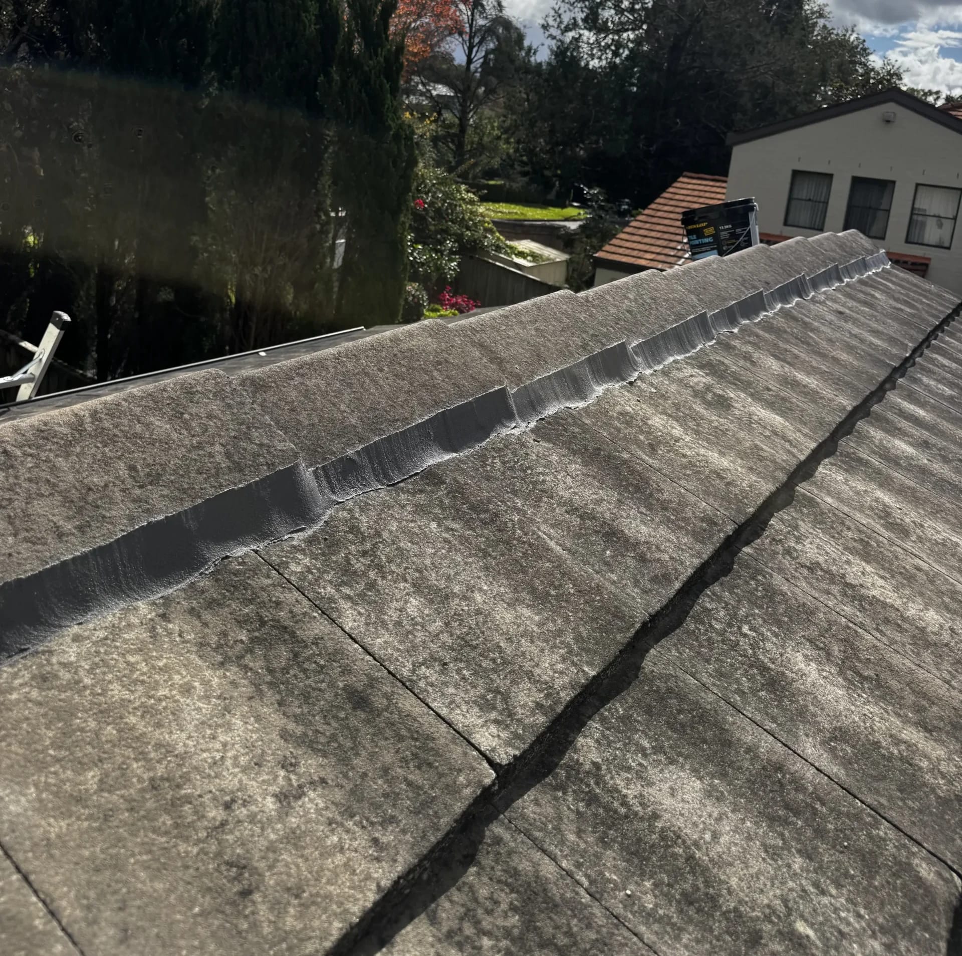 Magic Gutter roof repair work in Sydney
