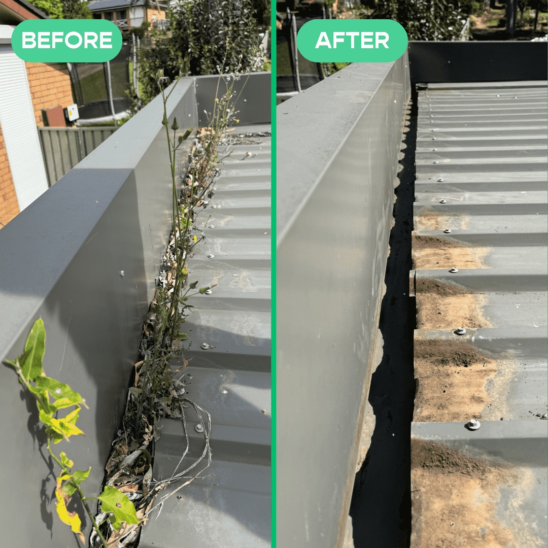 Sydney Gutter cleaning