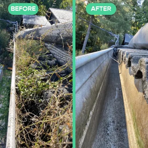 Sydney Magic Gutter cleaning