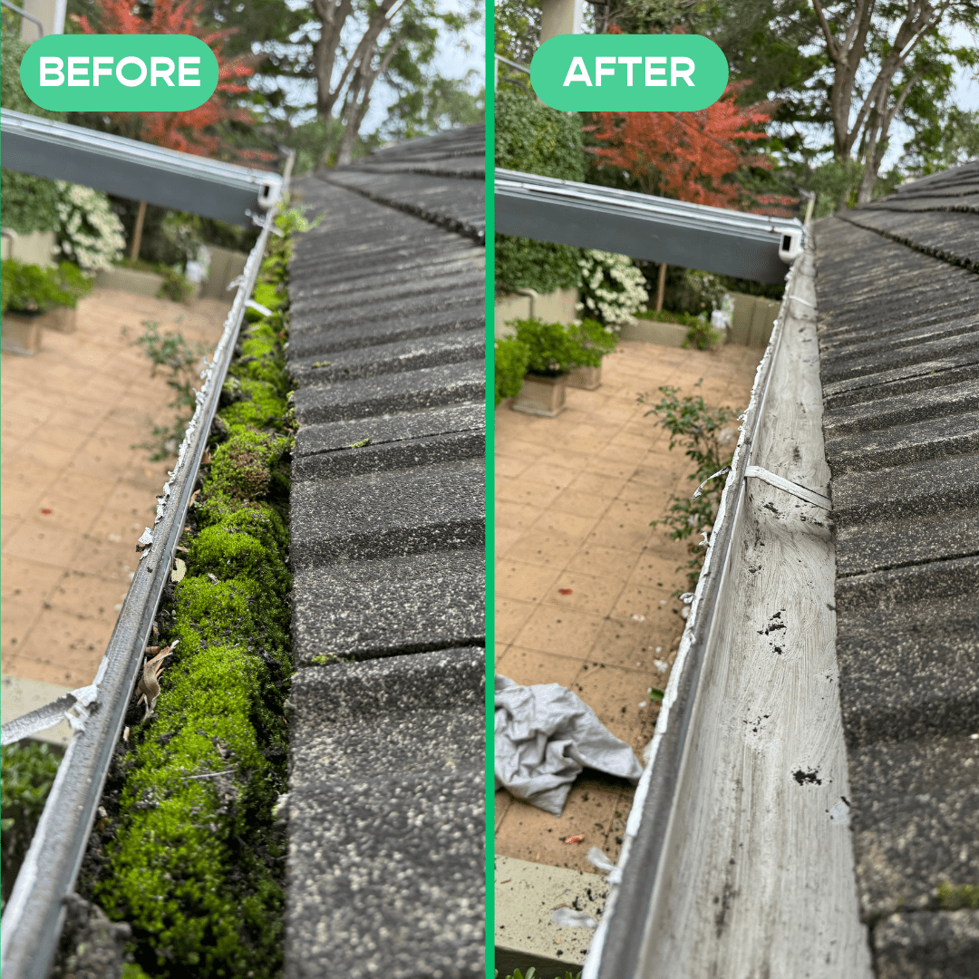 Gutter cleaning