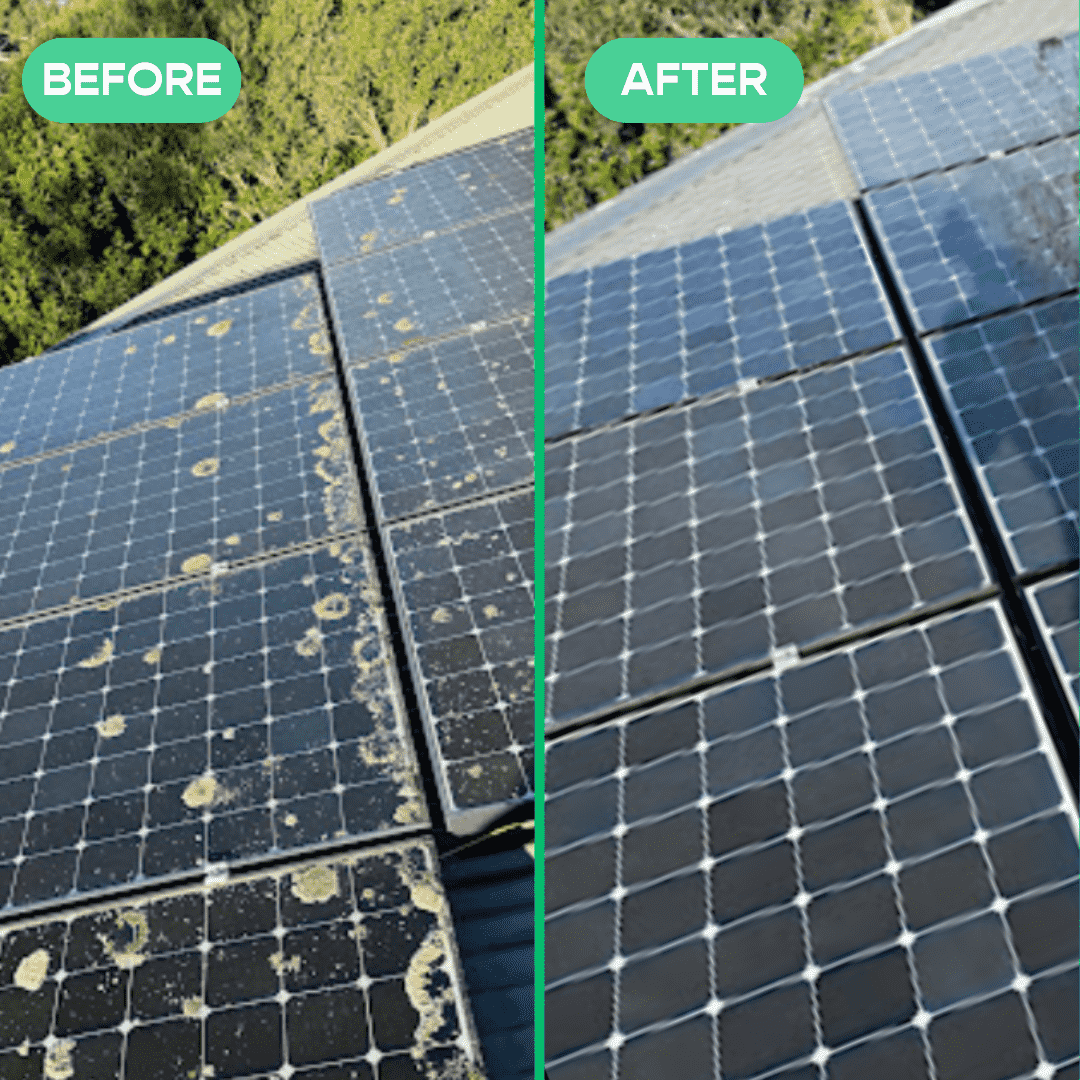 Solar panel cleaning