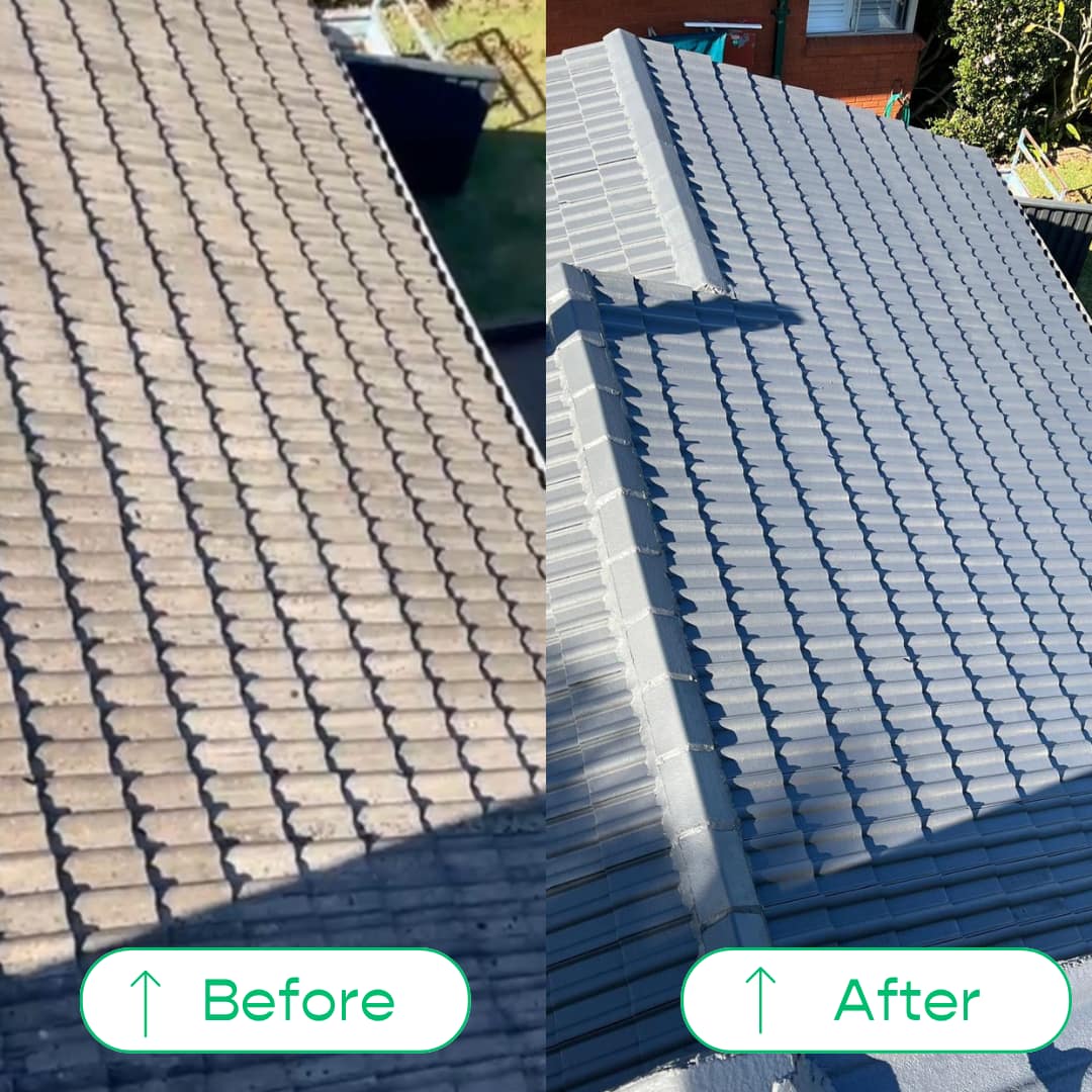 Roof Paint