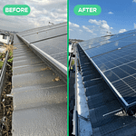 Bird Proofing Installation