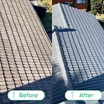 Roof Paint