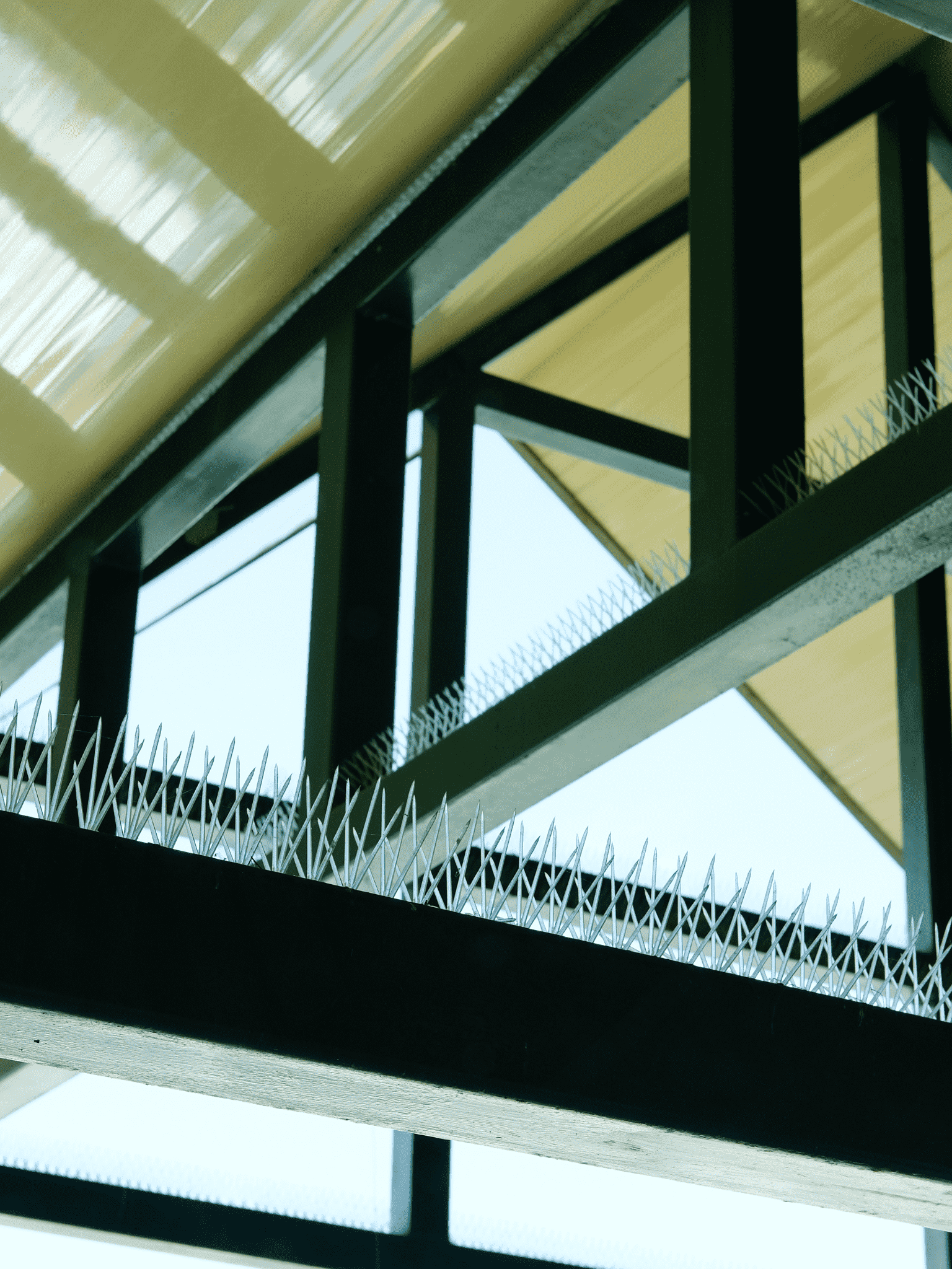 Bird proofing Installation