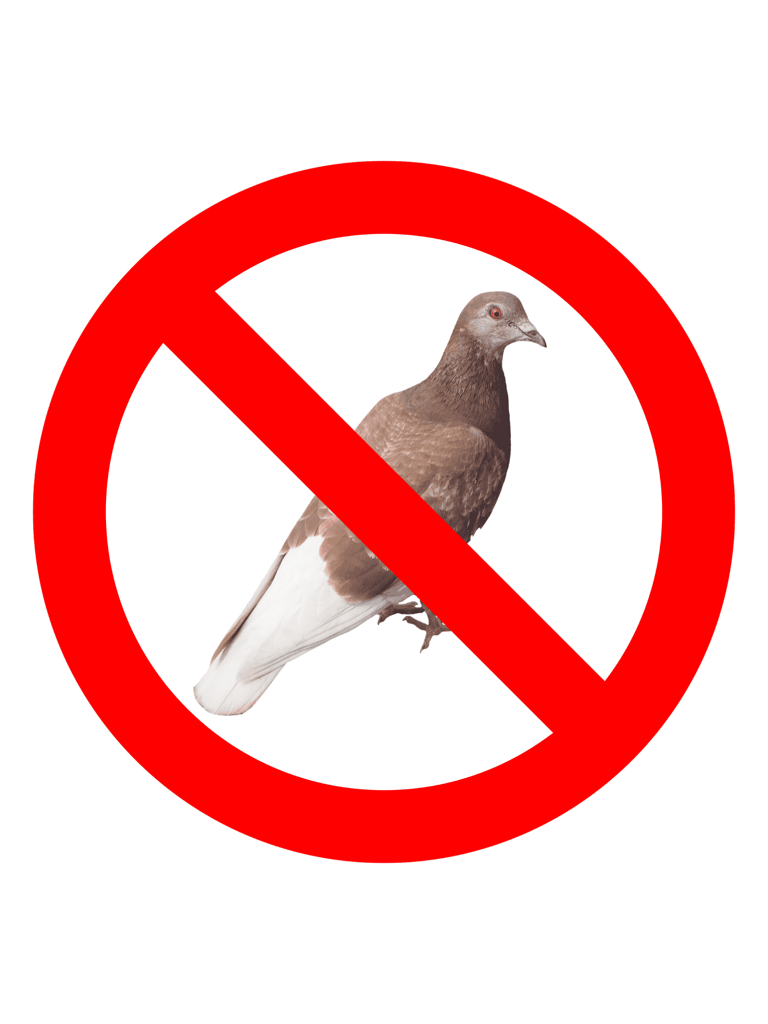 Block pigeons to access your panels